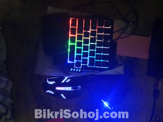 Mouse and keyboard combo